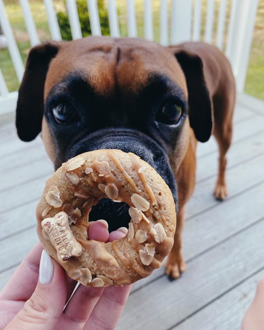 Rocco's Dog Donuts (4 Pack)